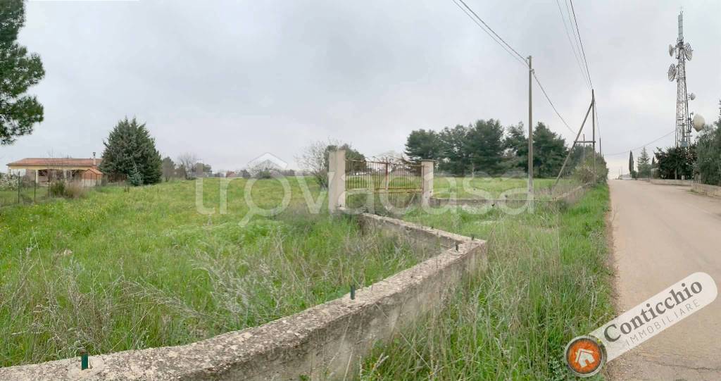 immagine annuncio 3 di 9