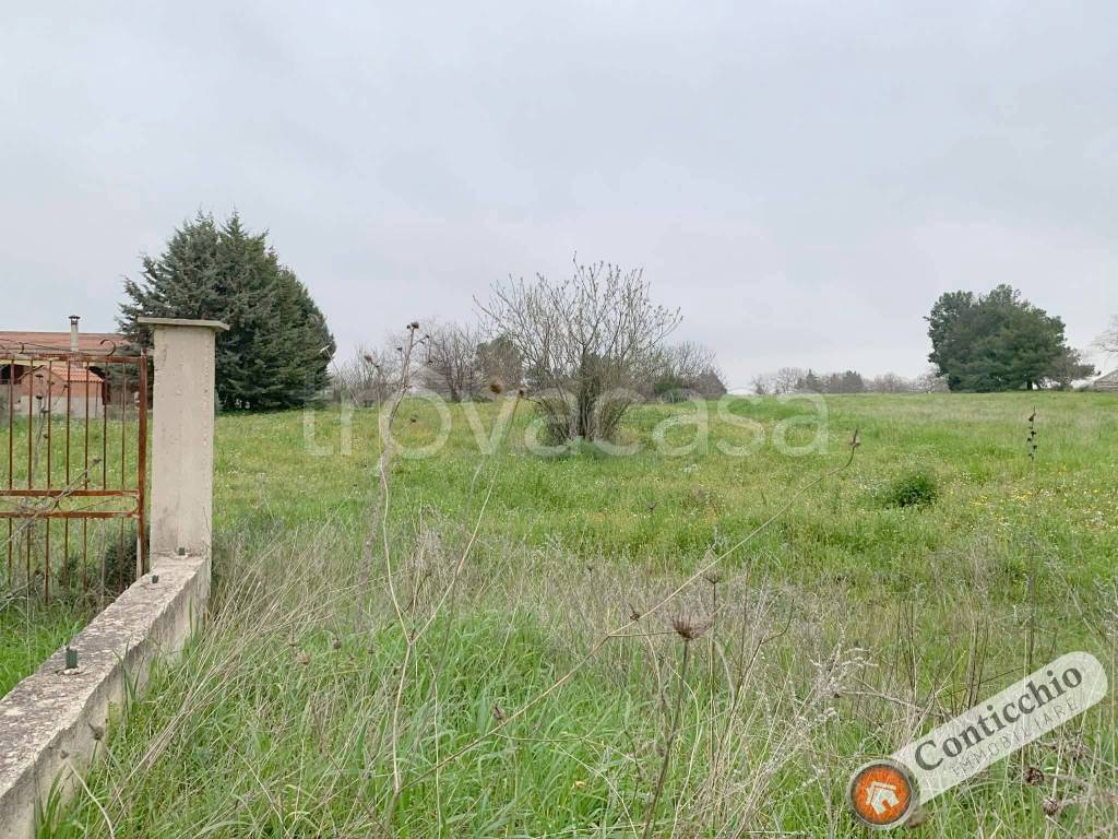 immagine annuncio 4 di 9