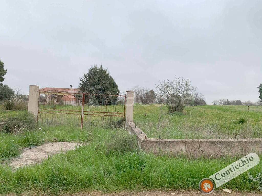 immagine annuncio 5 di 9