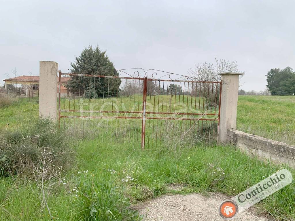 immagine annuncio 6 di 9