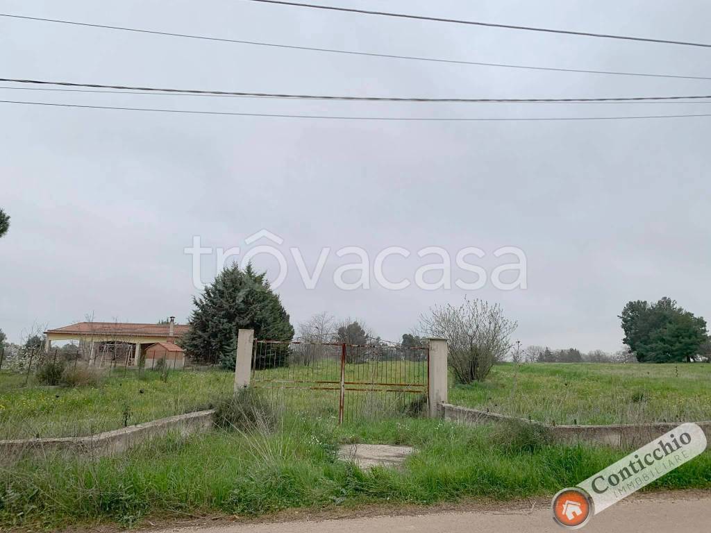 immagine annuncio 7 di 9