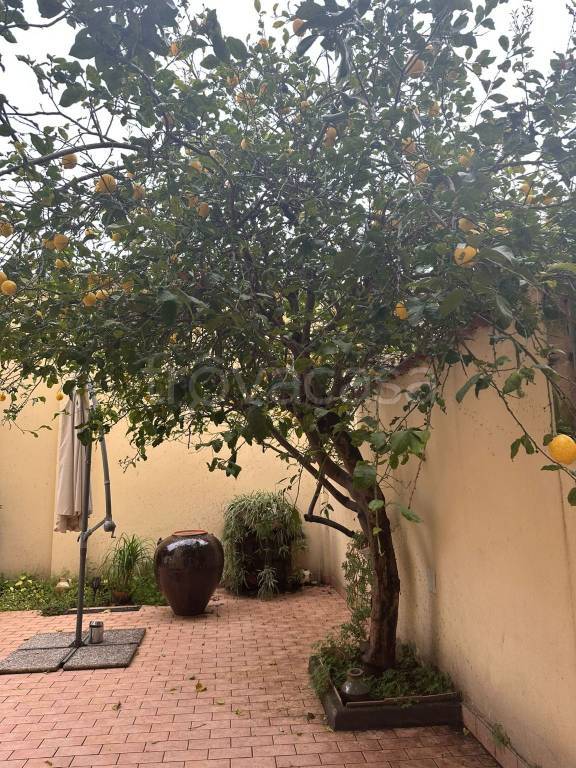 immagine annuncio 5 di 9