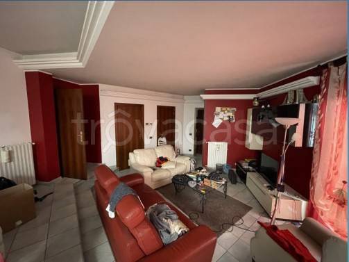 immagine annuncio 3 di 7