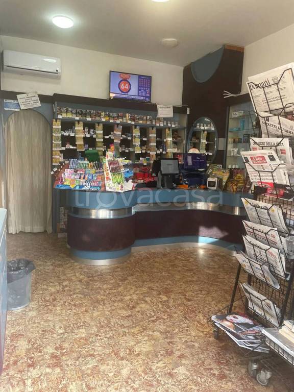 immagine annuncio 7 di 13