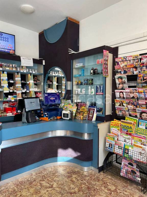 immagine annuncio 11 di 13