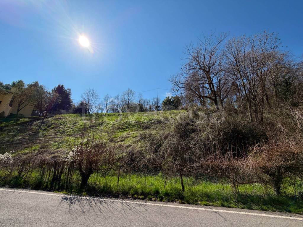 immagine annuncio 5 di 14