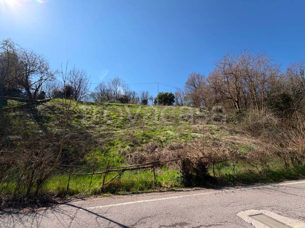 immagine annuncio 2 di 14