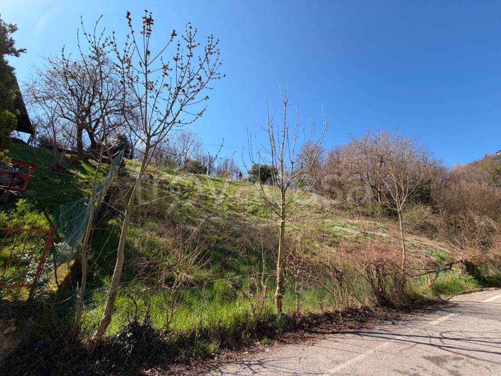 immagine annuncio 3 di 14