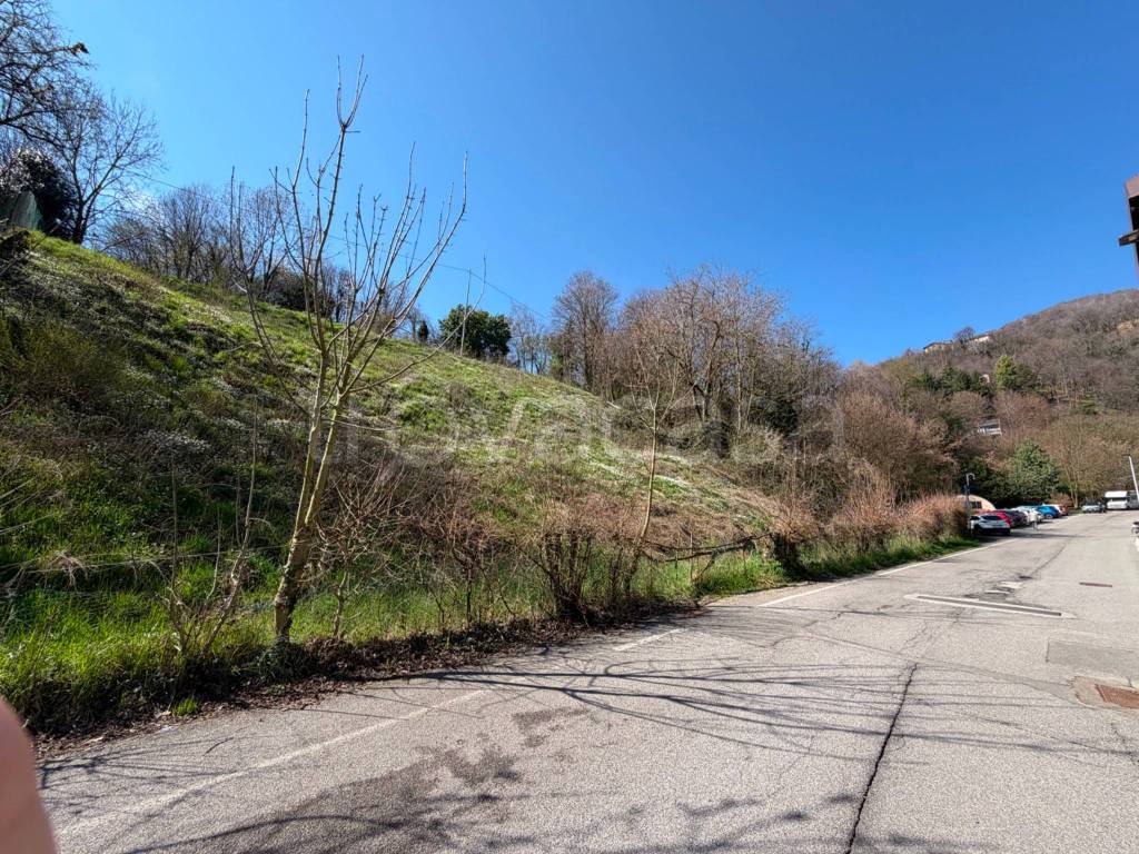 immagine annuncio 8 di 14