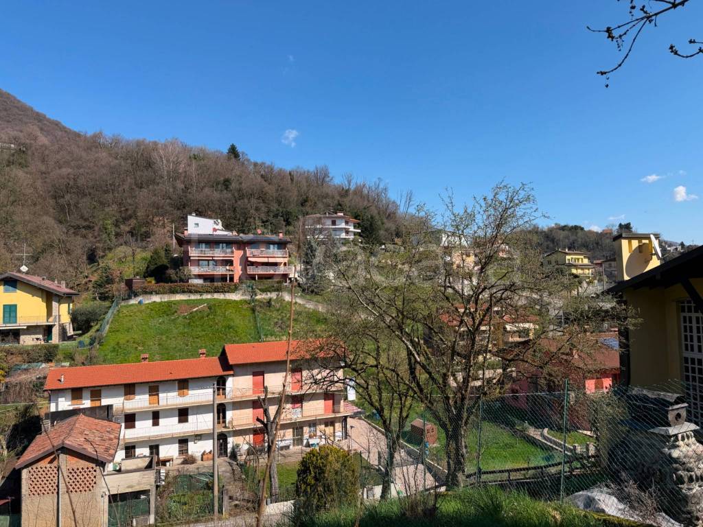 immagine annuncio 7 di 14