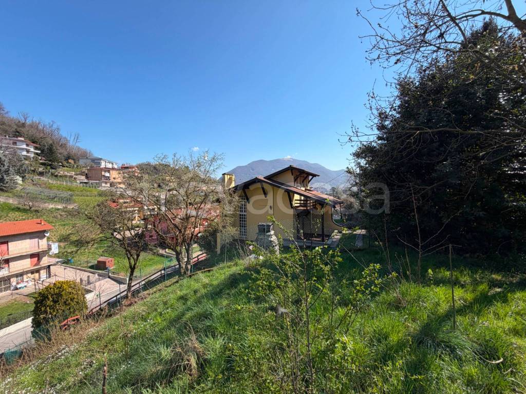 immagine annuncio 11 di 14