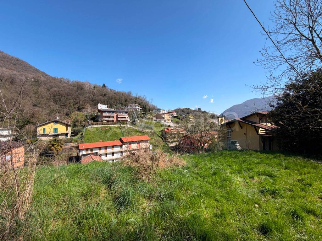 immagine annuncio 12 di 14