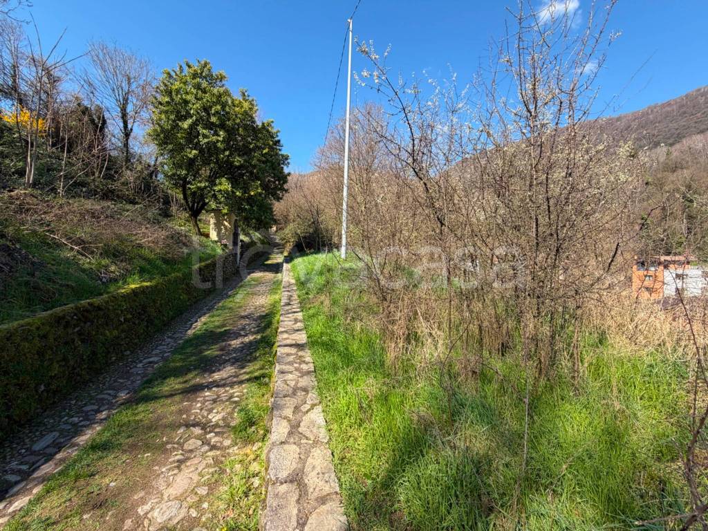 immagine annuncio 13 di 14