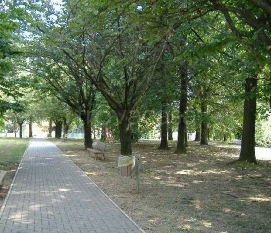 immagine annuncio 11 di 13