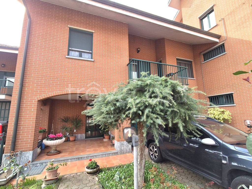 immagine annuncio 1 di 15