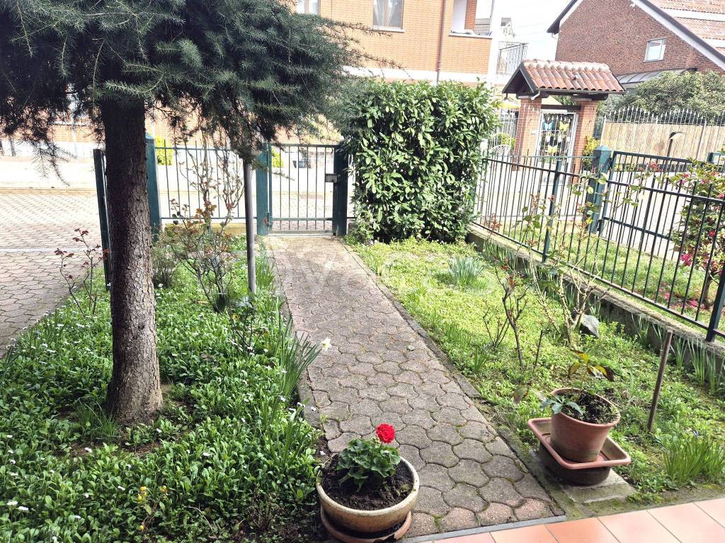 immagine annuncio 2 di 15