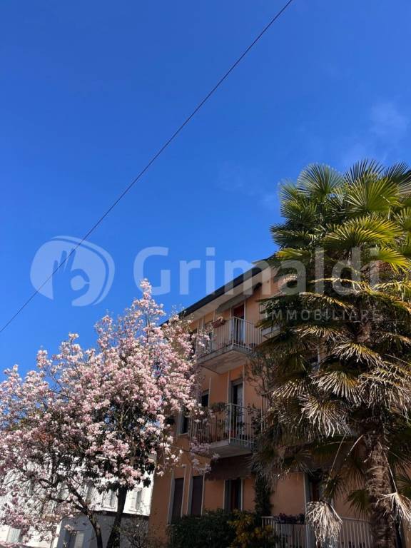 immagine annuncio 7 di 9