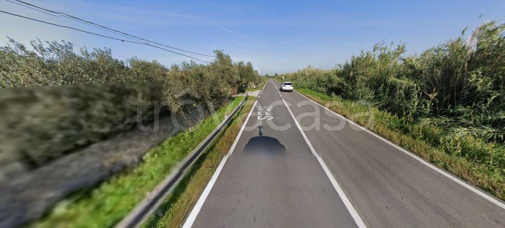 immagine annuncio 9 di 12