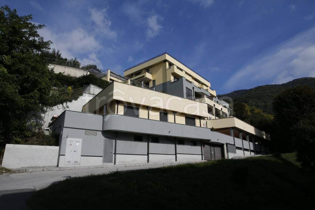 immagine annuncio 10 di 12
