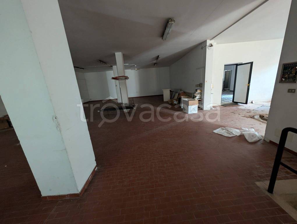 immagine annuncio 7 di 13