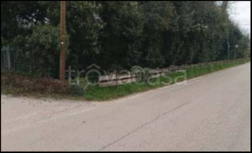 immagine annuncio 4 di 11