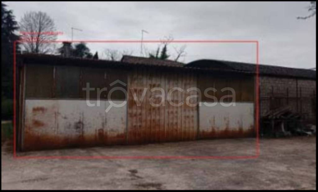 immagine annuncio 5 di 11