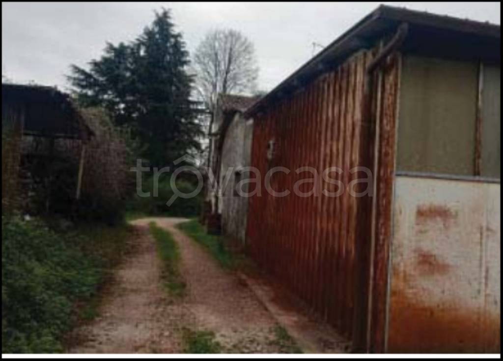 immagine annuncio 7 di 11