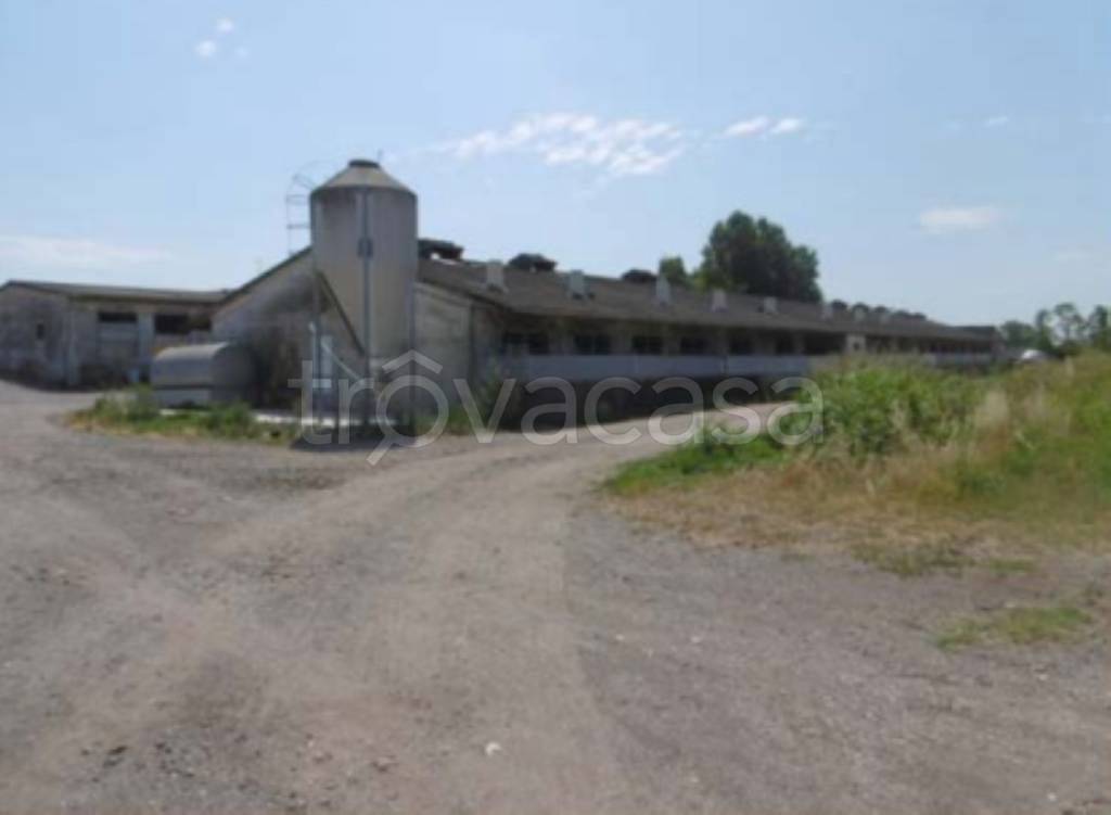 immagine annuncio 5 di 11