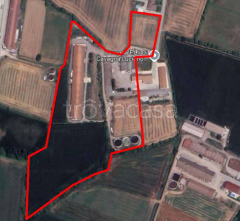 immagine annuncio 10 di 11