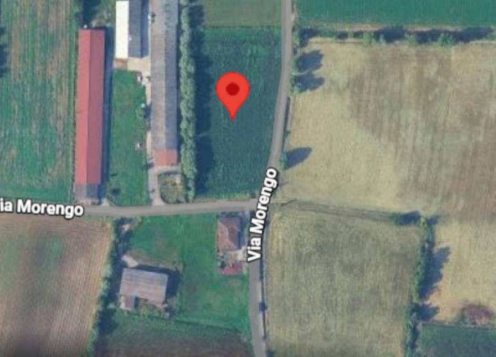 immagine annuncio 4 di 9