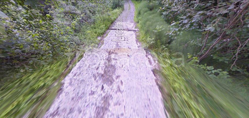 immagine annuncio 10 di 14