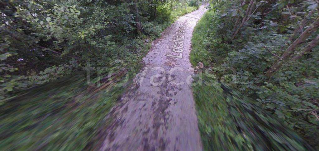 immagine annuncio 11 di 14