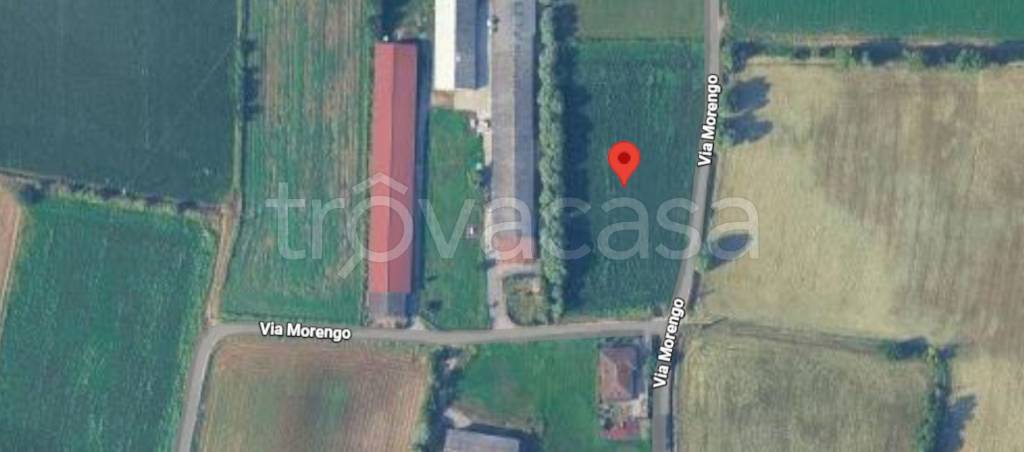 immagine annuncio 5 di 9