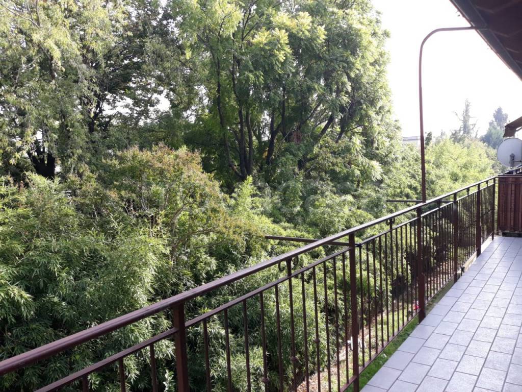 immagine annuncio 3 di 8