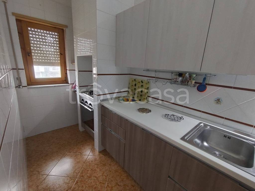 immagine annuncio 5 di 12