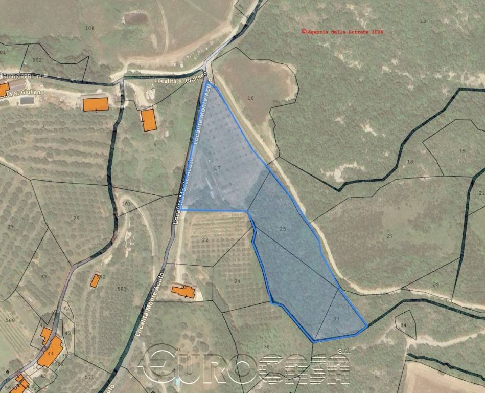 immagine annuncio 1 di 2