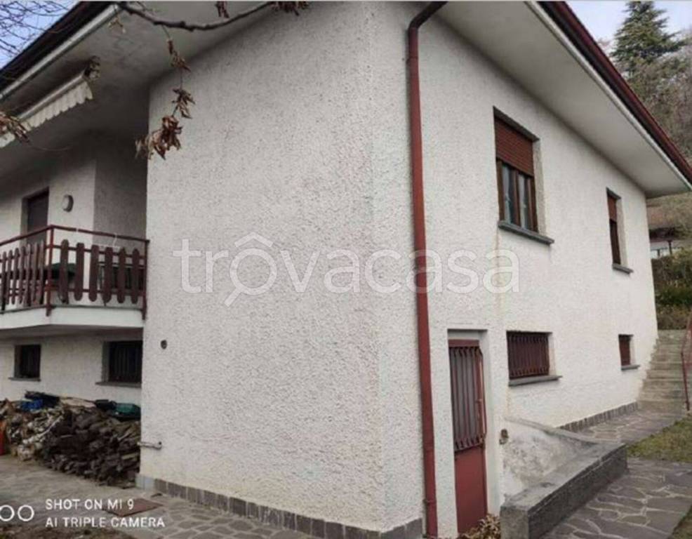 immagine annuncio 2 di 12