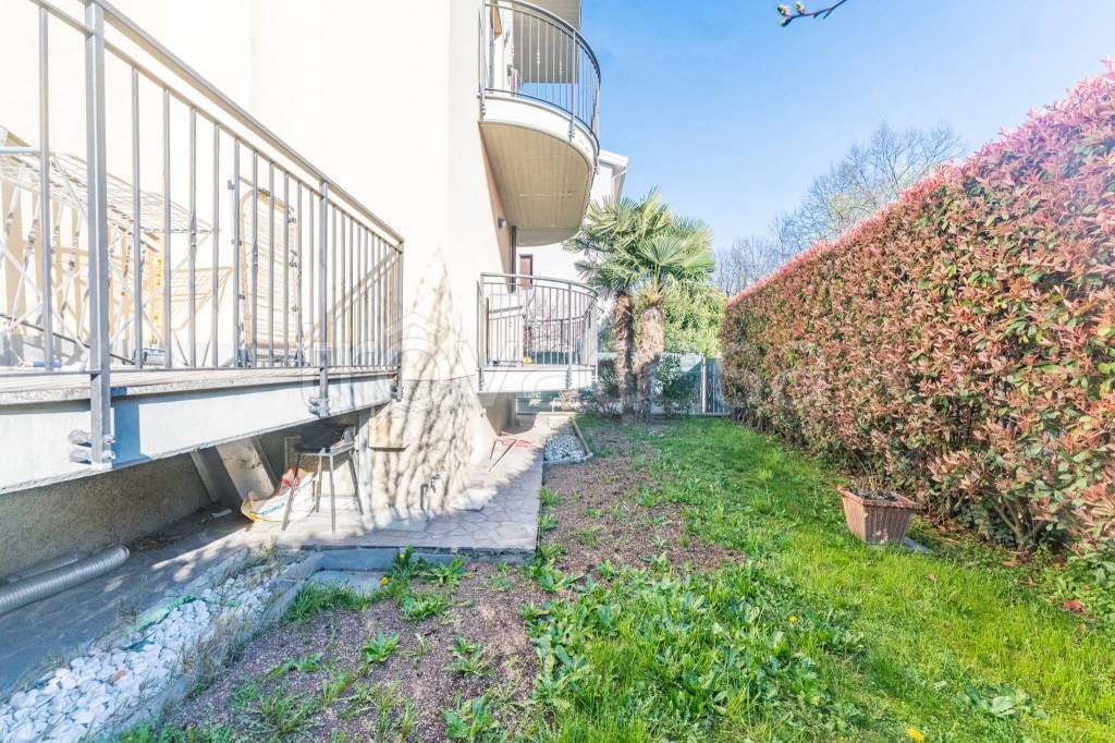 immagine annuncio 12 di 15