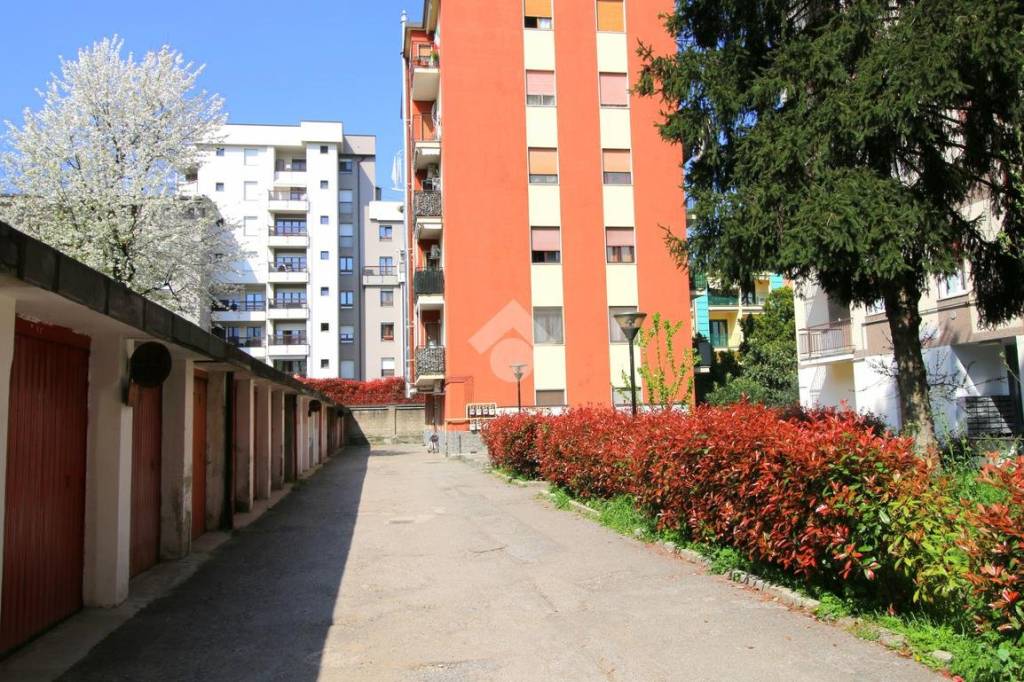 immagine annuncio 14 di 15