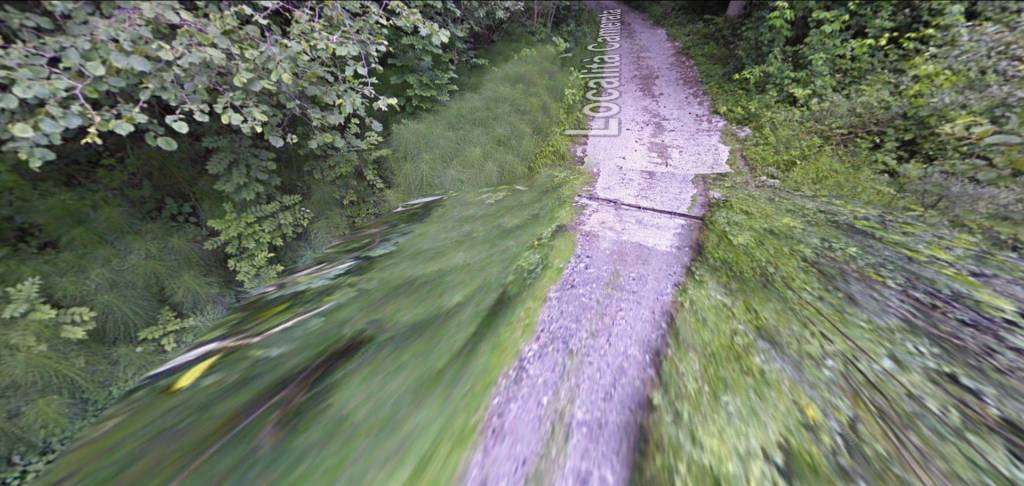 immagine annuncio 11 di 14