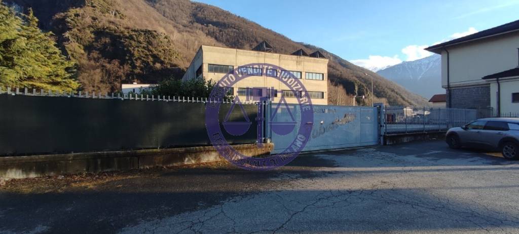 immagine annuncio 5 di 9