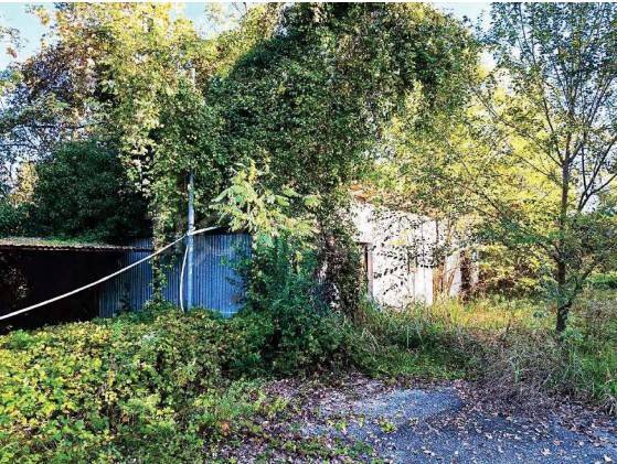 immagine annuncio 2 di 13