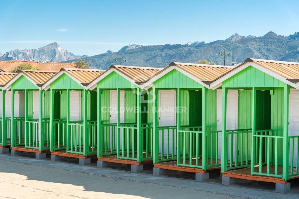 immagine annuncio 7 di 8