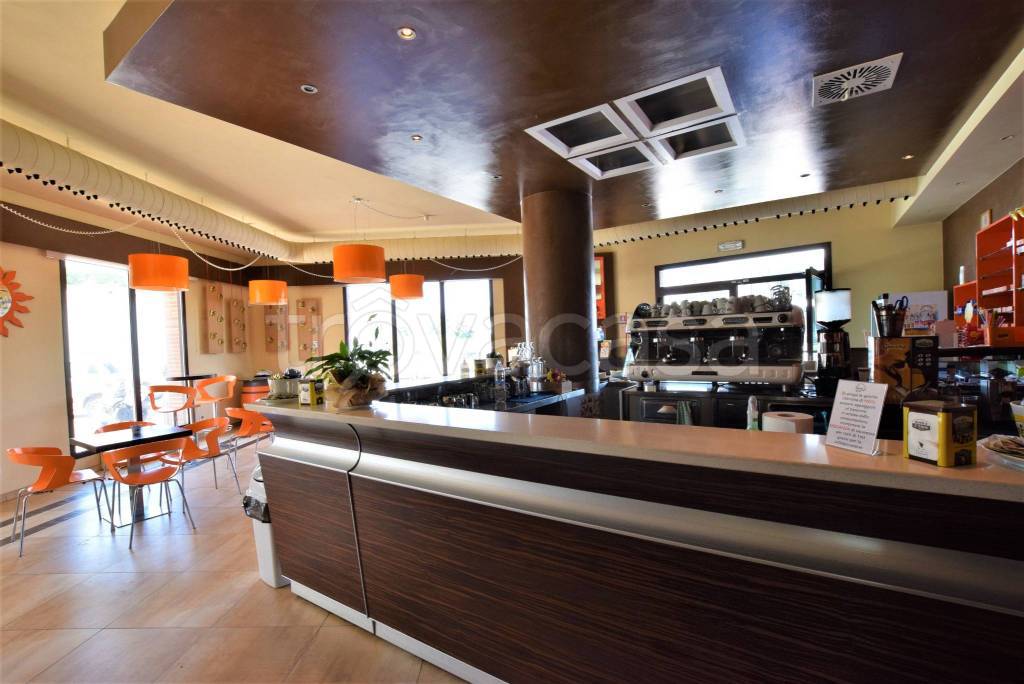 immagine annuncio 2 di 14