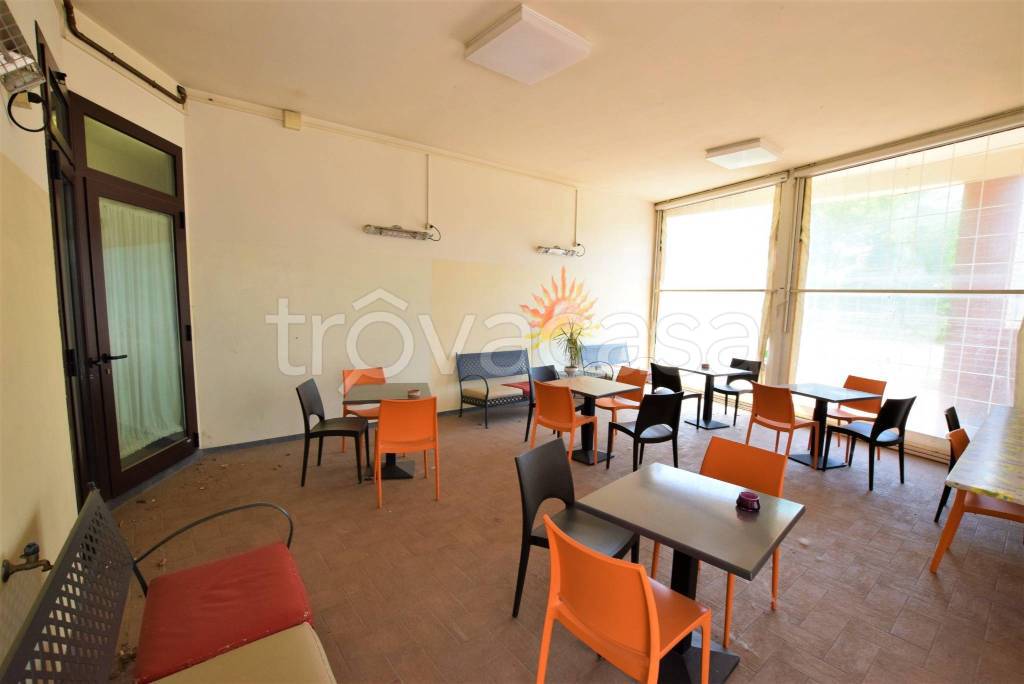 immagine annuncio 6 di 14