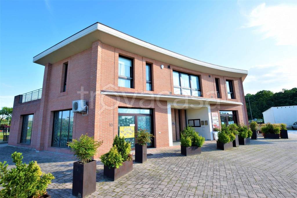 immagine annuncio 13 di 14