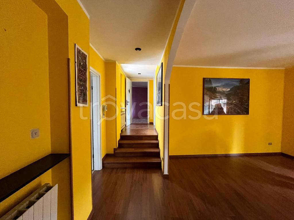 immagine annuncio 2 di 12