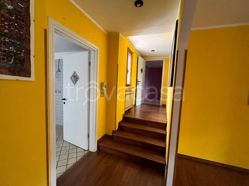 immagine annuncio 3 di 12