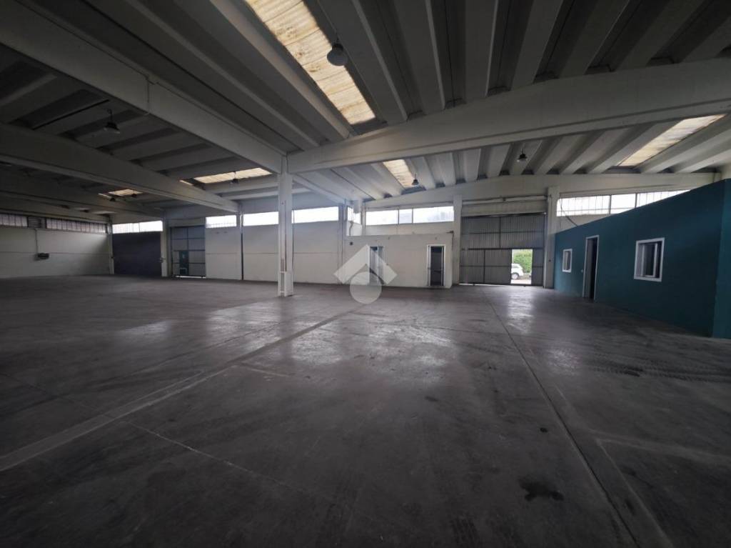 immagine annuncio 2 di 11