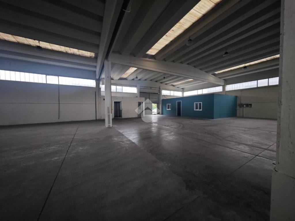 immagine annuncio 3 di 11